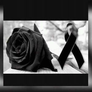 Meet your Posher, Iris